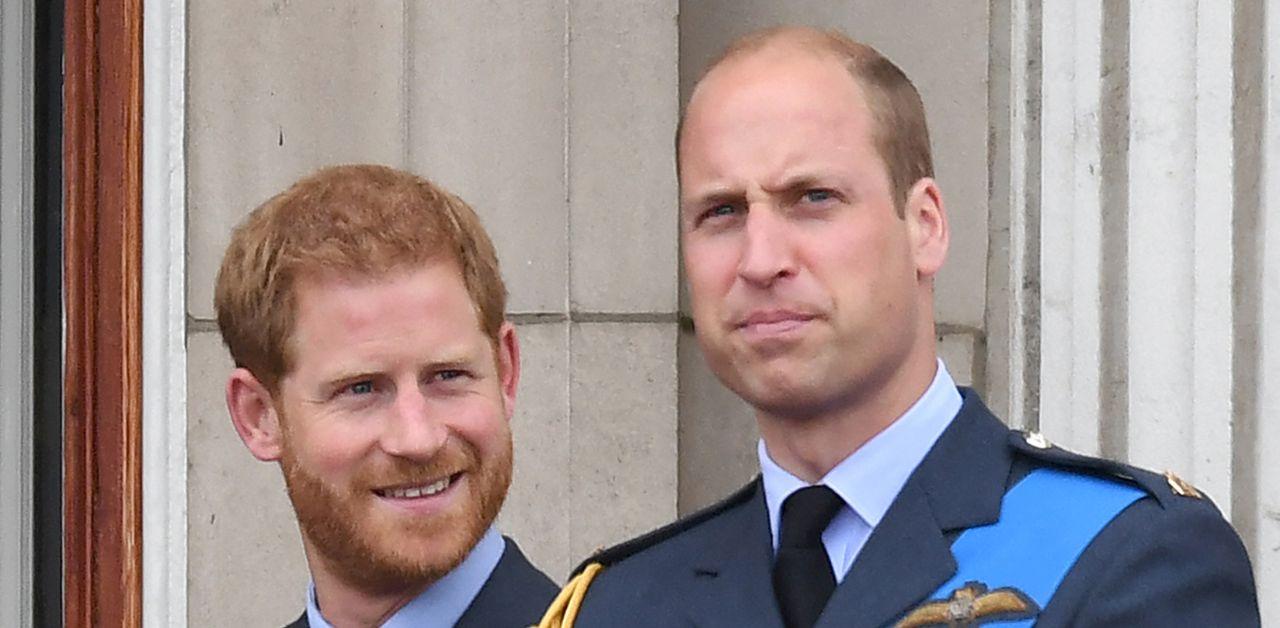 prince william new role managing harry army unit