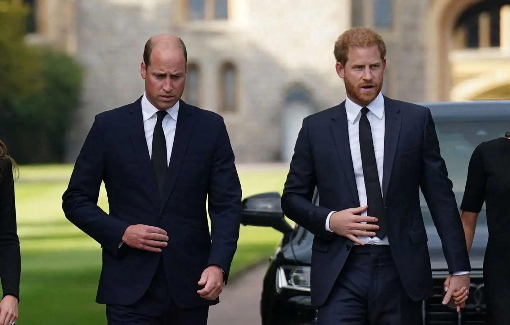 royal family urging prince harry prince william to have sit down