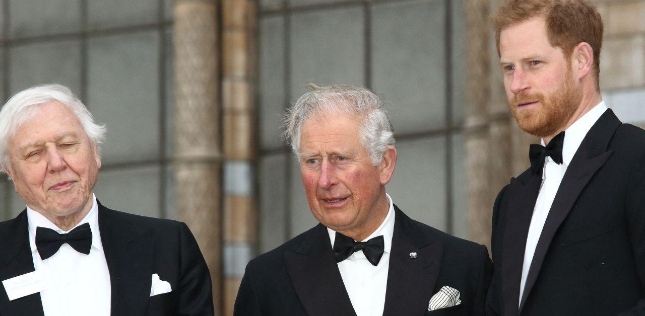 prince harry wants spend time with king charles during uk trip