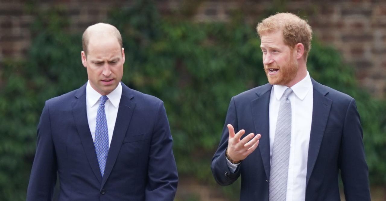 prince harry share explosive details feud with prince william in memoir claims royal author