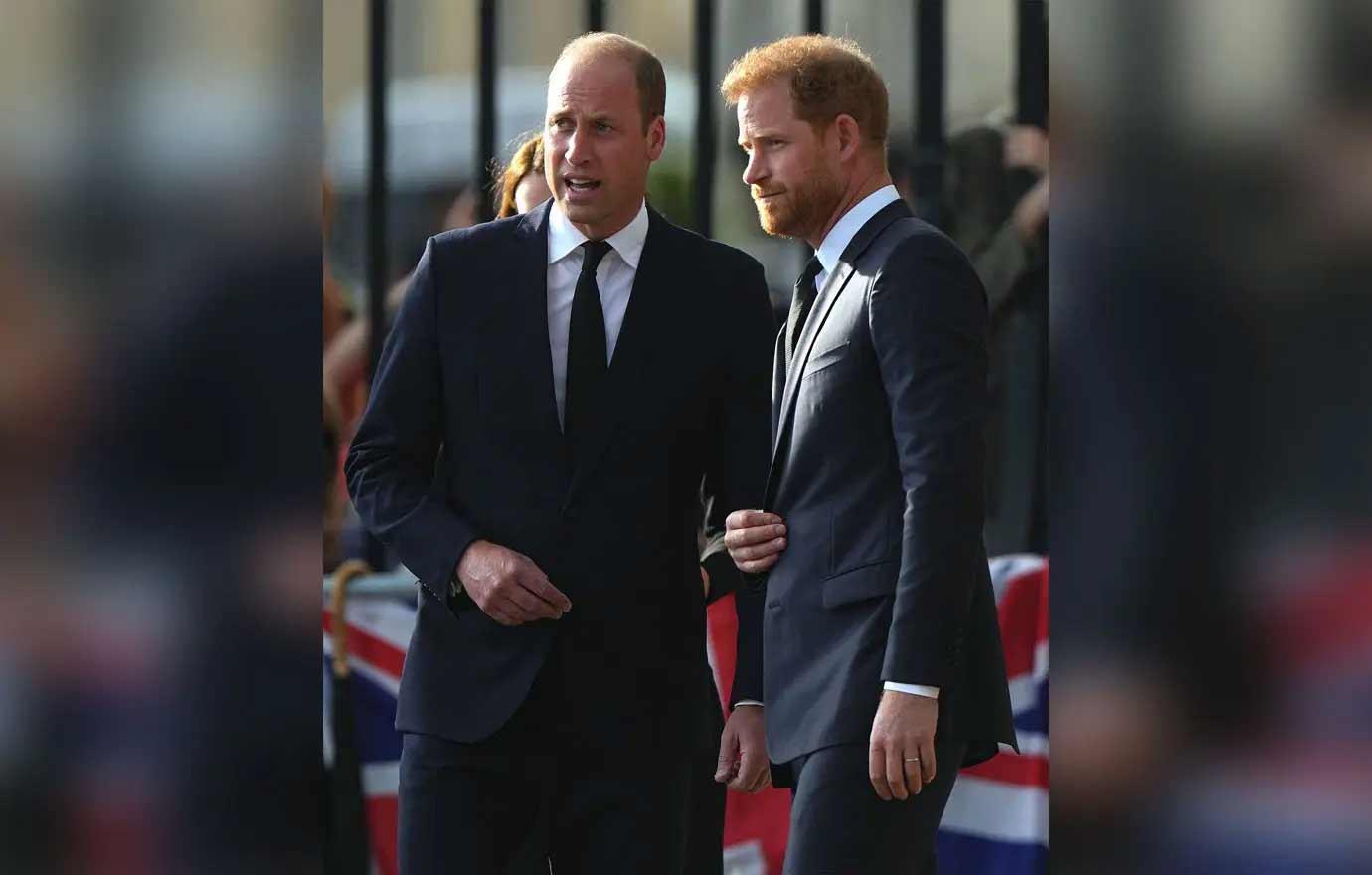 spare revelations prince harry feud brother prince william