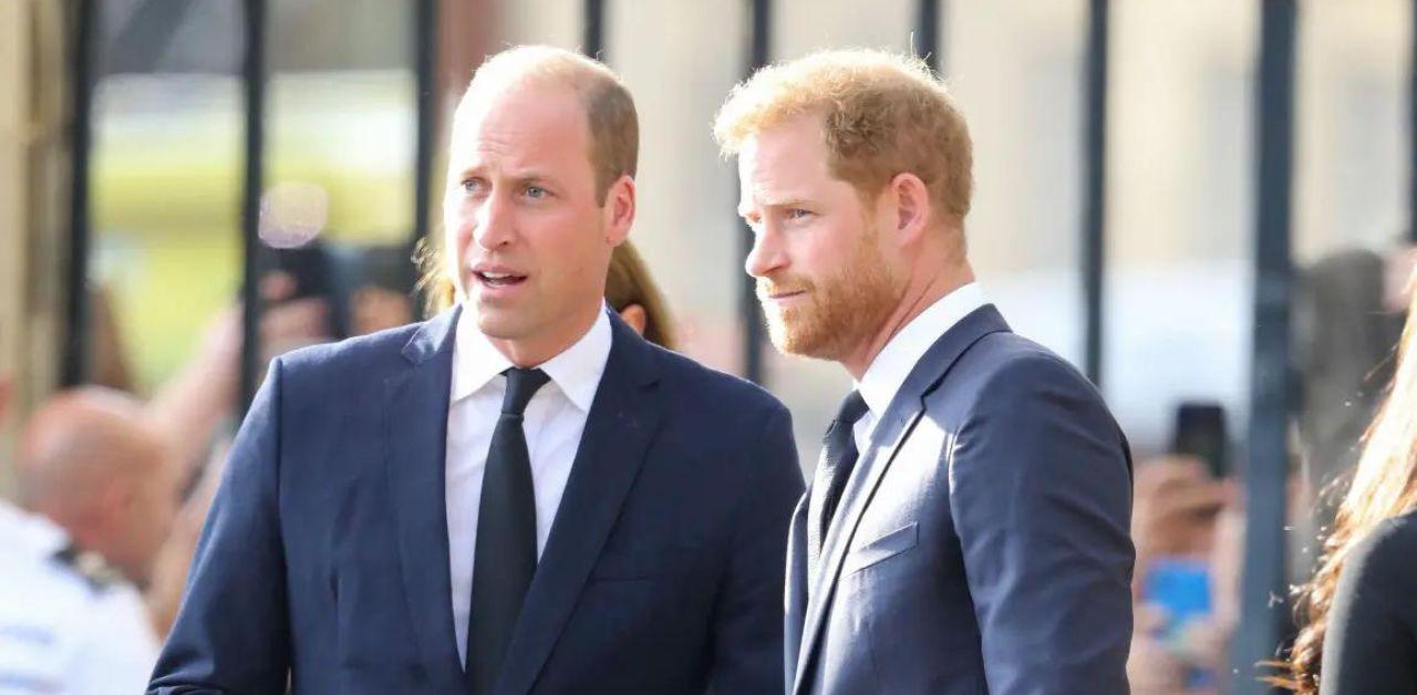 prince harry caught discussing prince william coronation