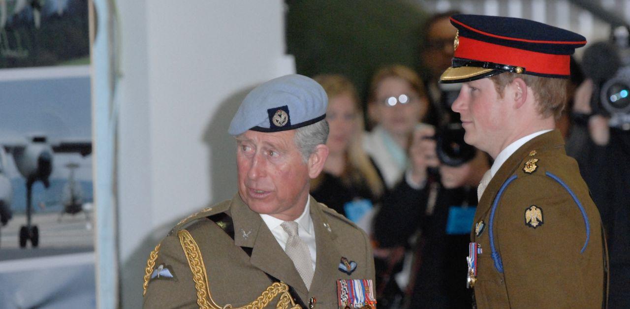 prince harry slammed making king charles diagnosis about him