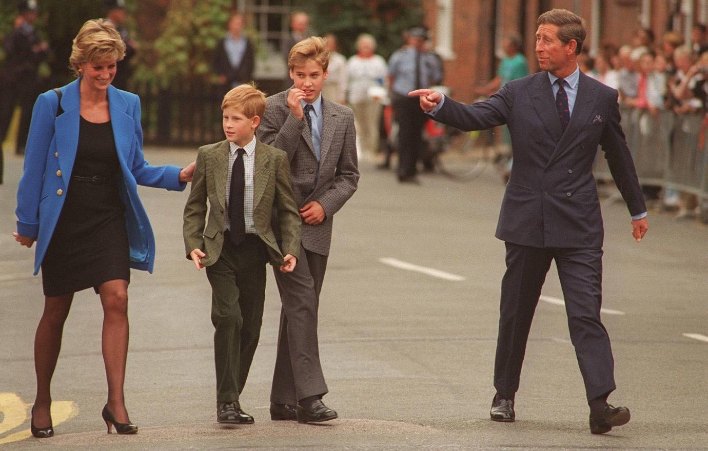 princess diana would be disappointed by prince william prince harrys rift claims biographer