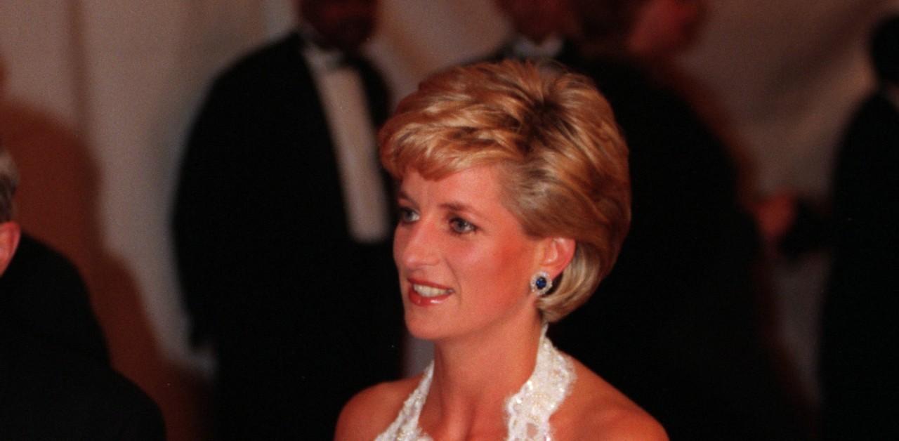 investigator princess diana interview