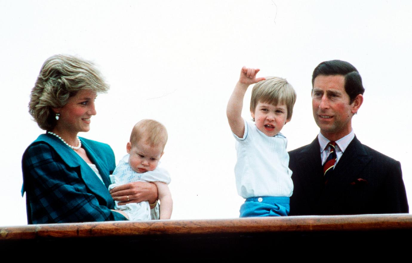 prince william prince harry unveil statue of princess diana