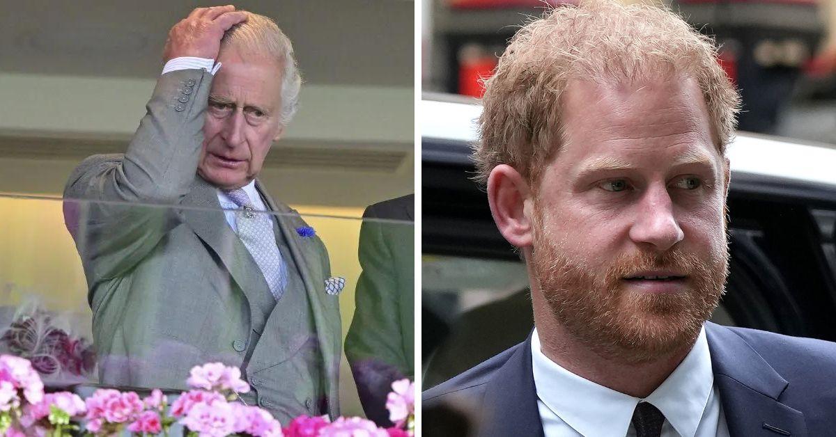 king charles iii and prince harry