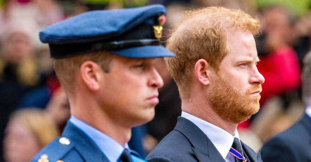 prince william and prince harry