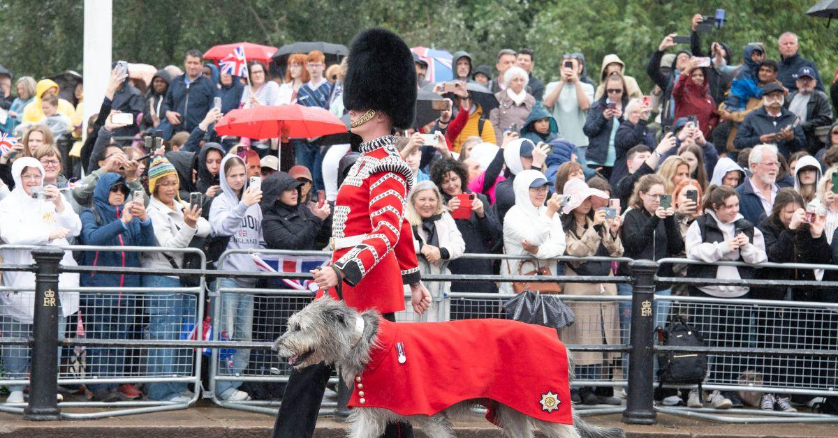 buckingham palace staffer arrested after christmas party