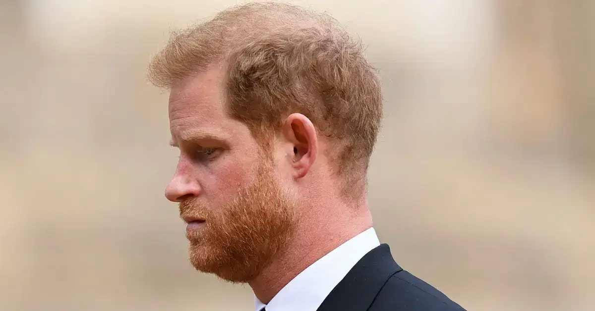 prince harry meditator king charles queen consort shocked