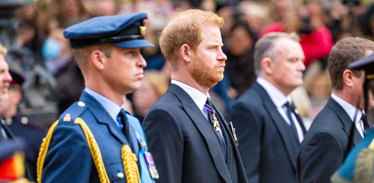 prince harry prince william reunion robert fellowes funeral shows damage done