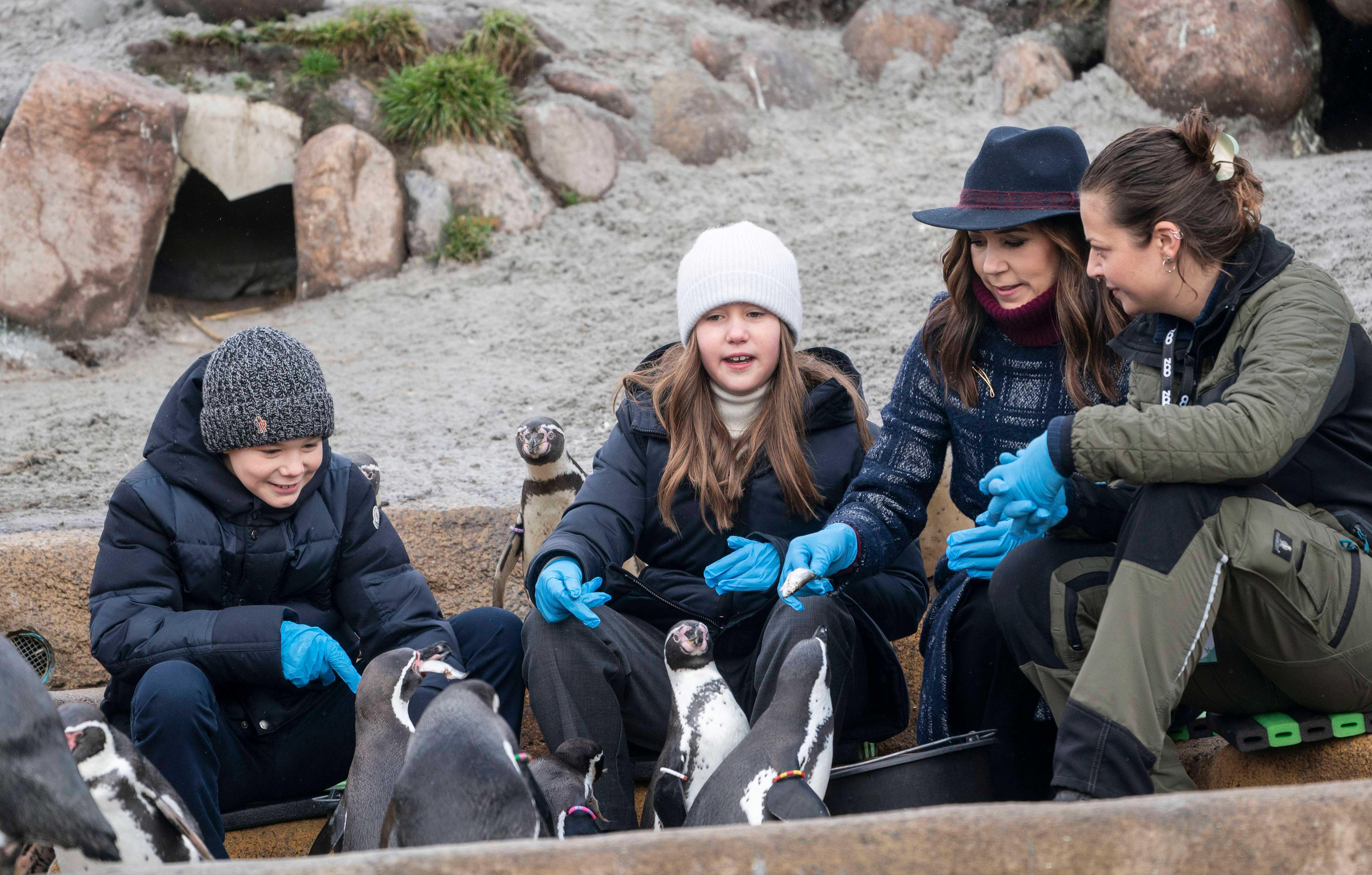 crown princess mary and her twins visit copenhagen zoo