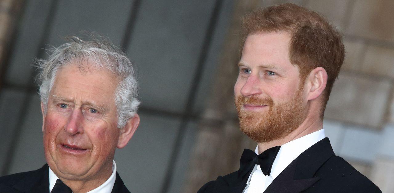 king charles refused read prince harry spare