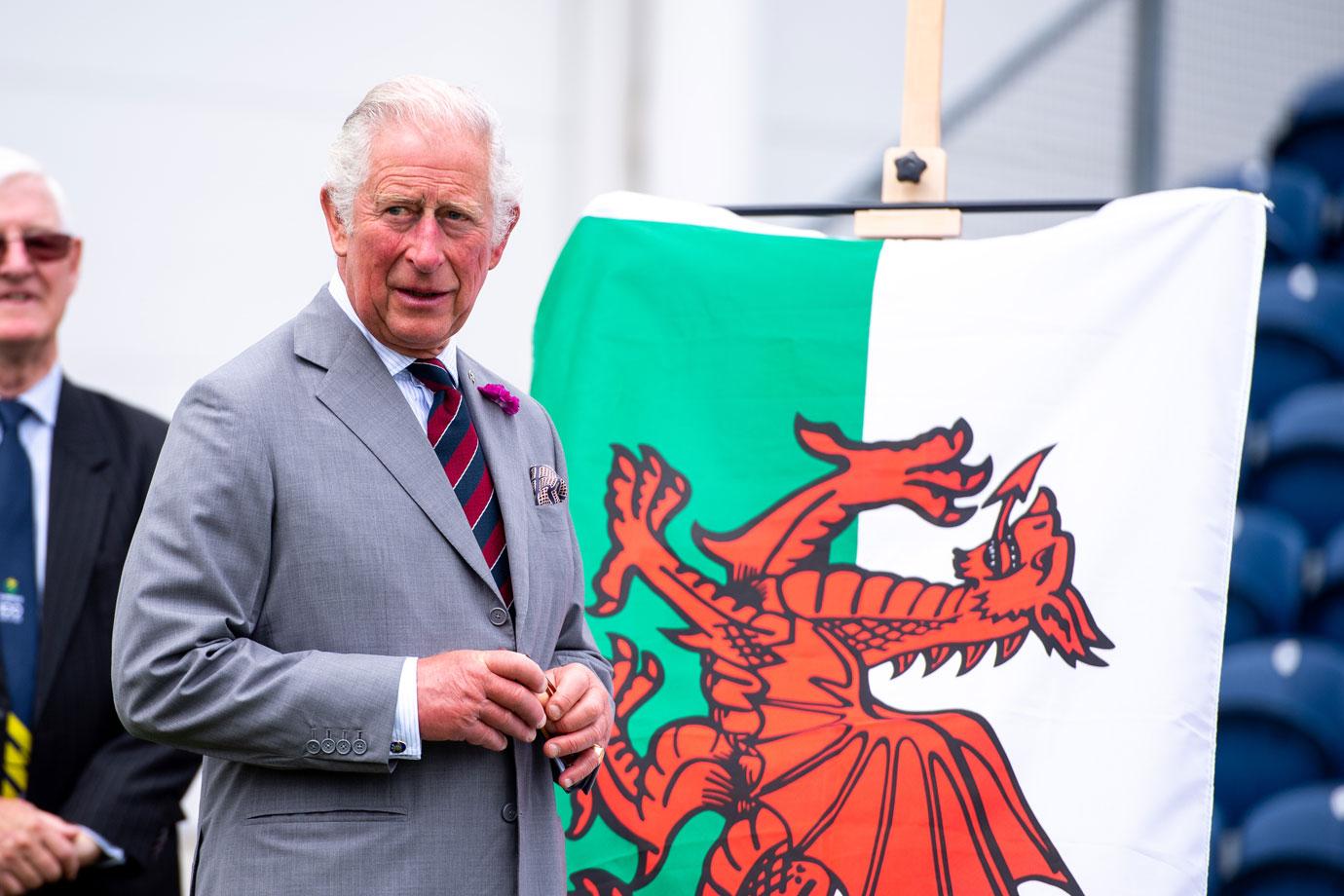 prince charles at sofia gardens cricket ground