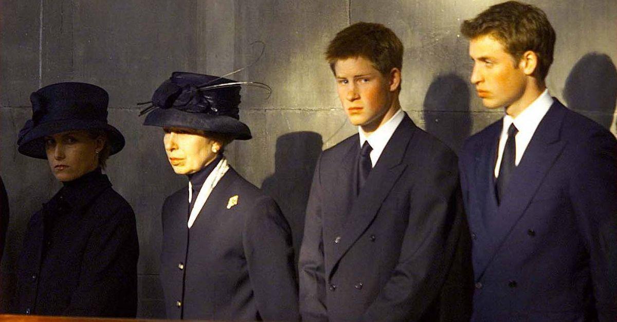 princess anne prince harry and prince william