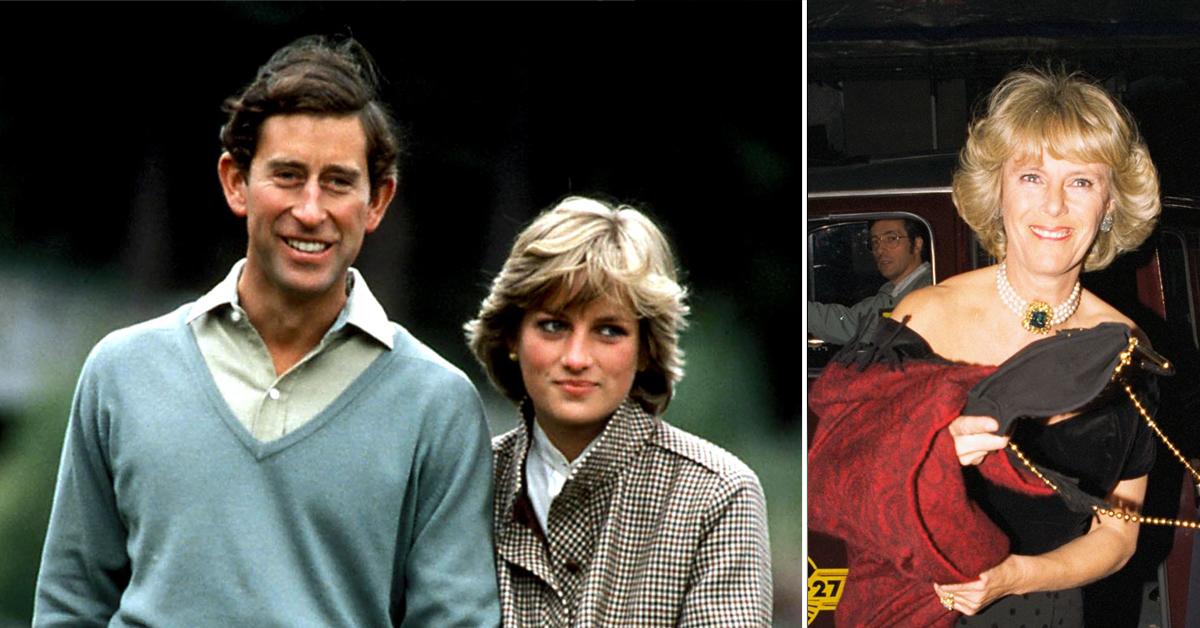 princess diana admitted camilla didnt ruin her marriage to prince charles author claims