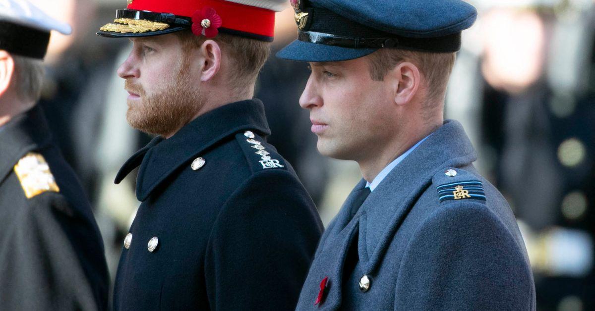 prince william and prince harry