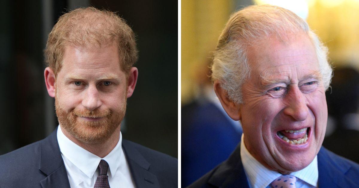 prince harry and king charles iii