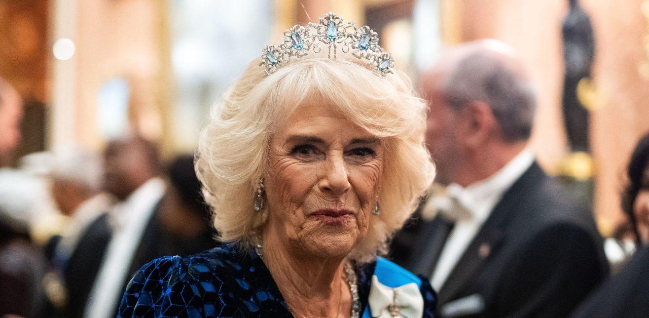 queen camilla declares no intention stop commitment ending domestic violence