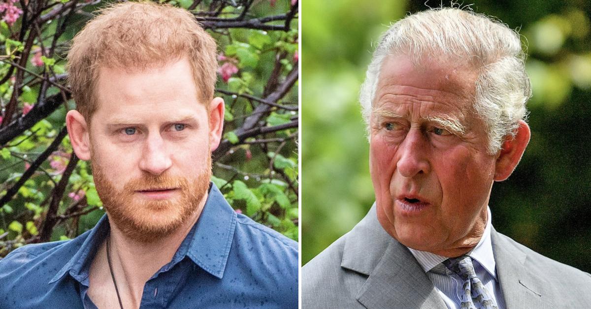 prince harry prince charles pp