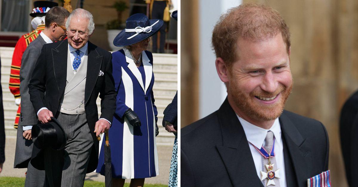 king charles iii prince harry