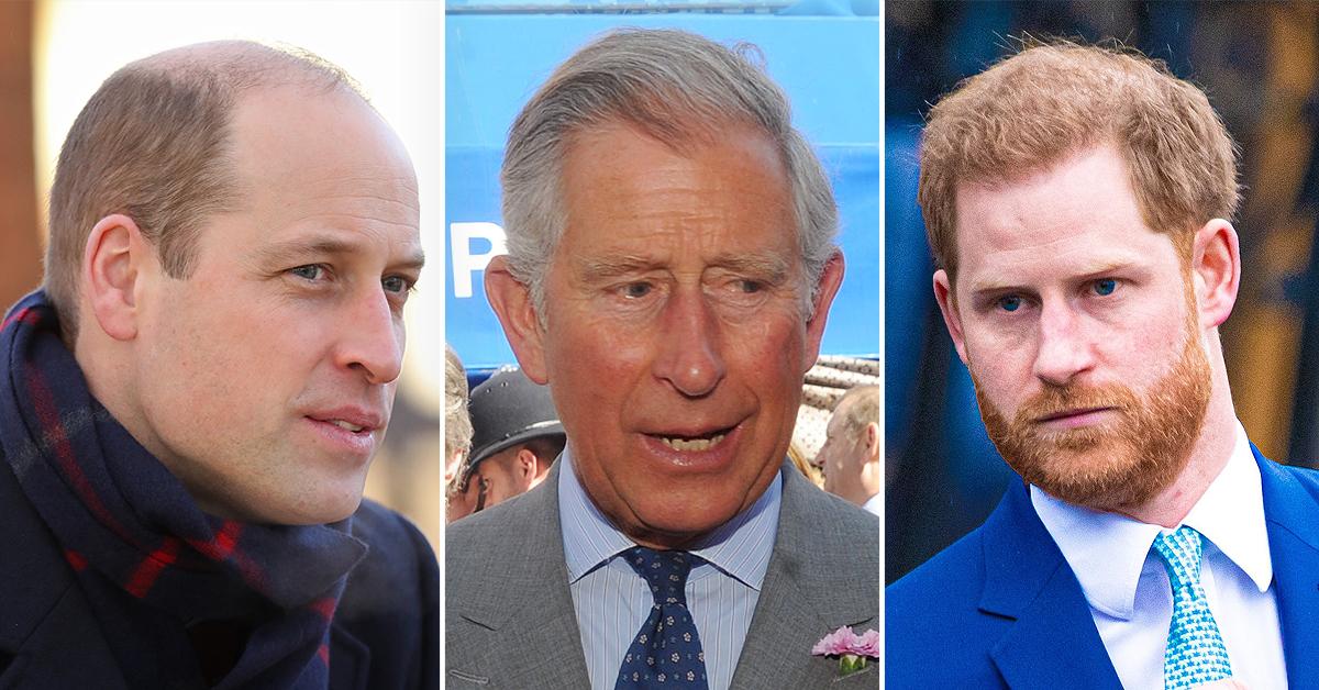 prince harry had not productive conversations prince william prince charles tro