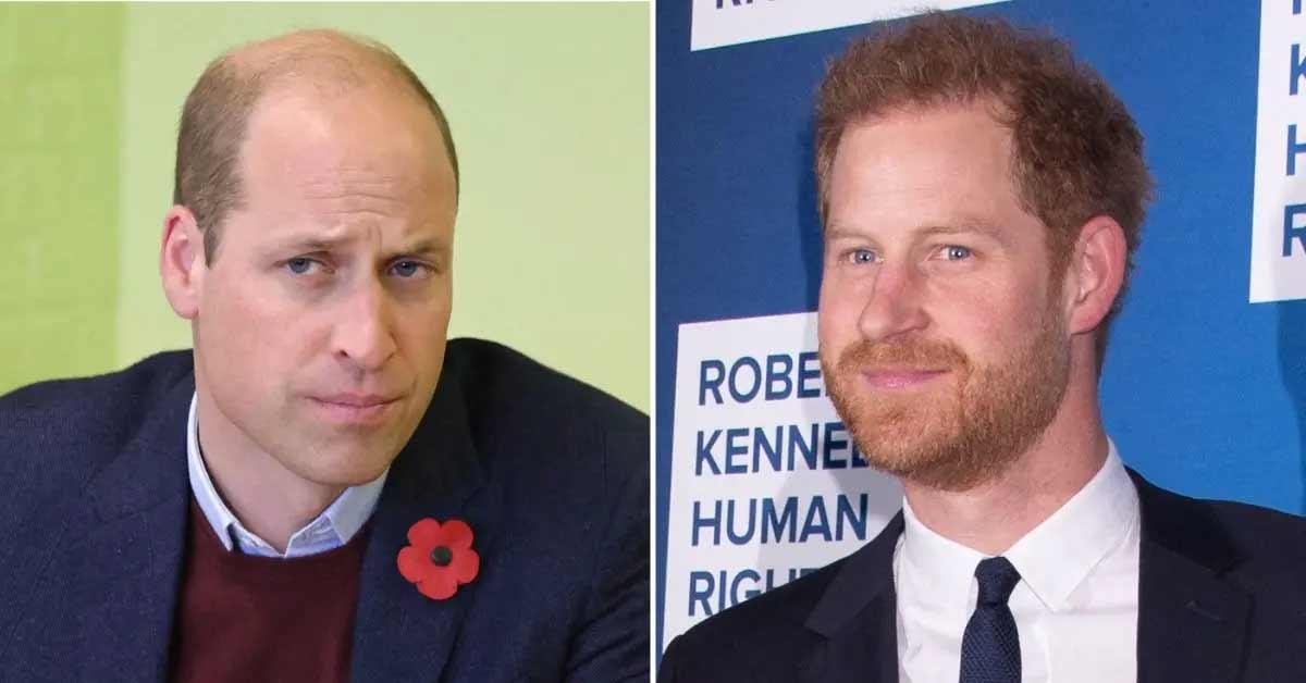 prince william friends slam prince harry meghan markle turning backs royal familyjpg