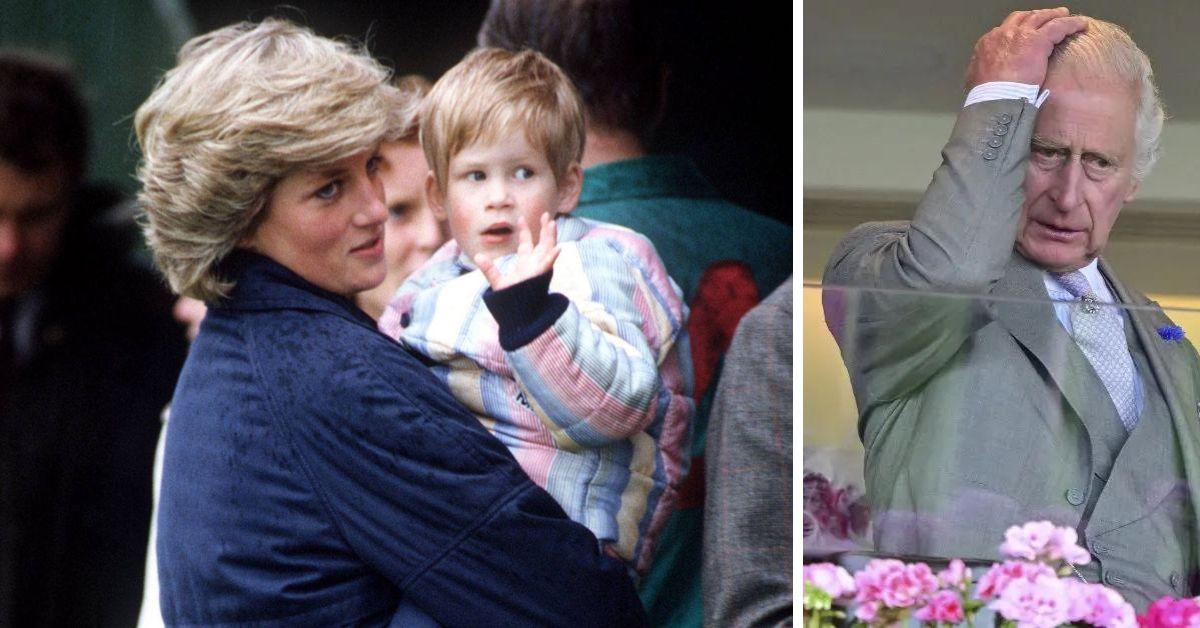 princess diana prince harry and king charles iii