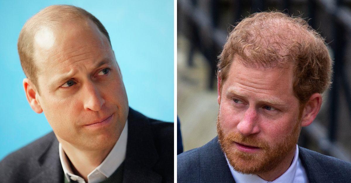 prince william and prince harry