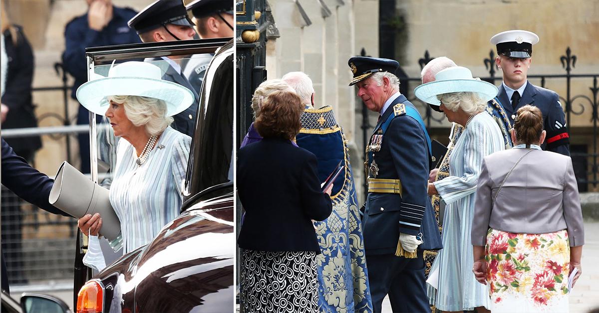 prince charles and duchess camilla at battle of britain st annviersary service of thanksgiving and rededication at westminster abbey pp