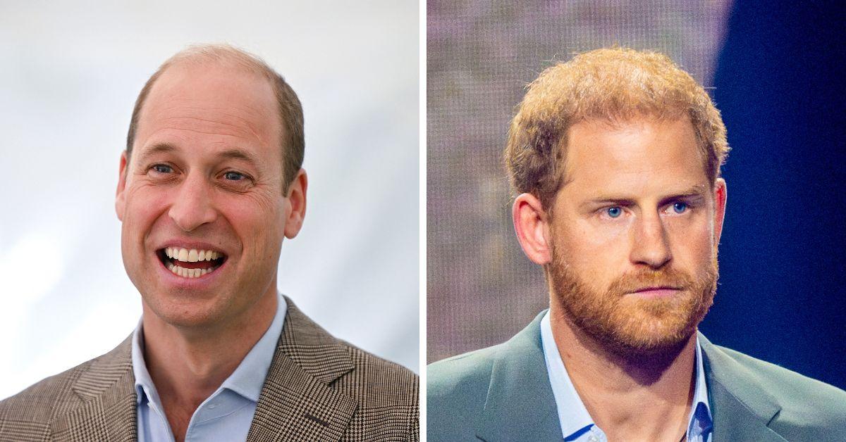 prince william and prince harry