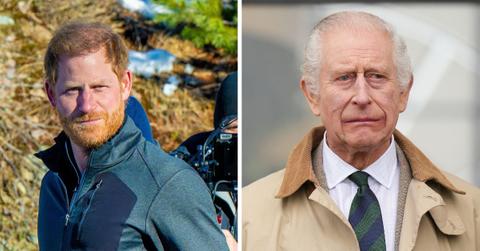 King Charles 'Snubbing' Prince Harry's Meeting Influenced By Others