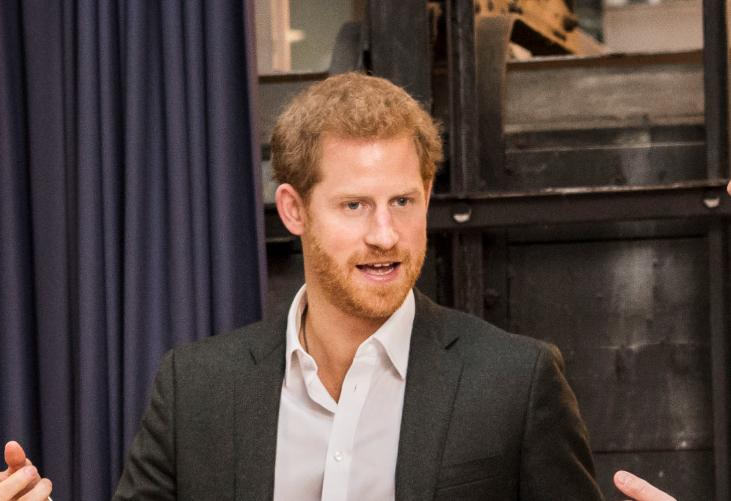Prince Harry Reacts To Deaths Of HALO Trust's Afghanistan Team The
