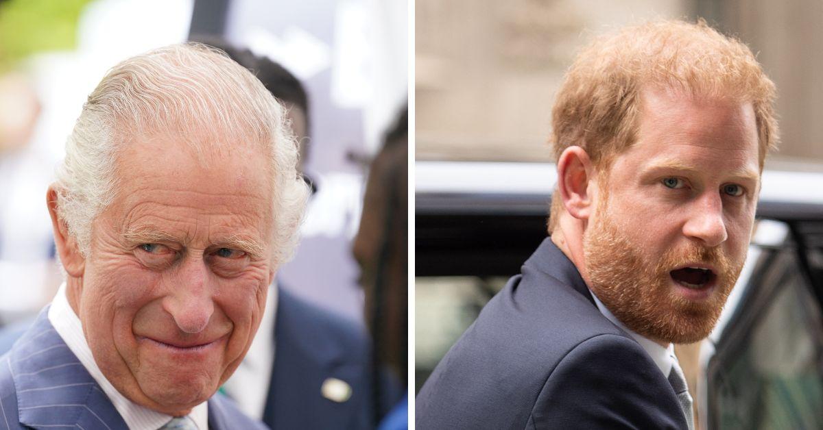 king charles iii and prince harry