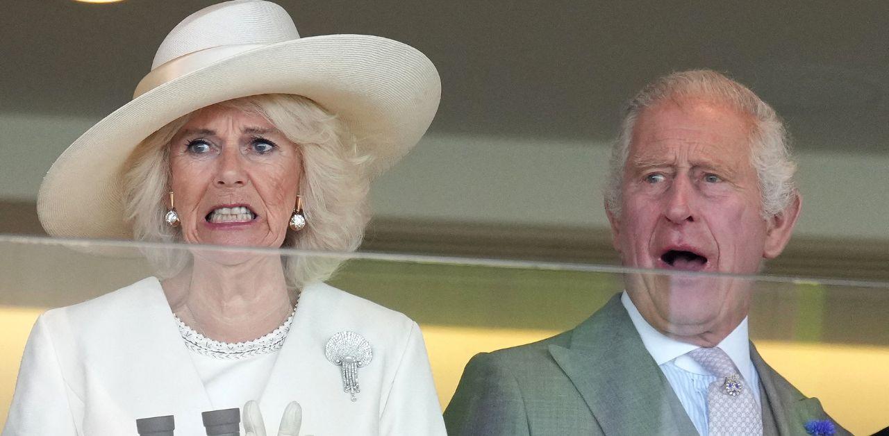 queen camilla plot destroy princess diana