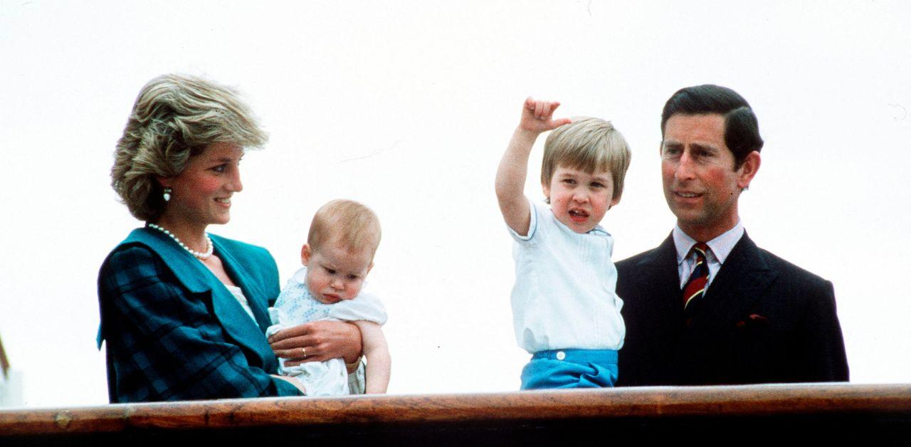 king charles shares prince harry prince william photo fathers day