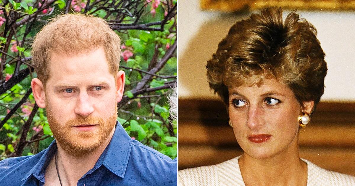 would princess diana approved of prince harry memoir so much like his mother