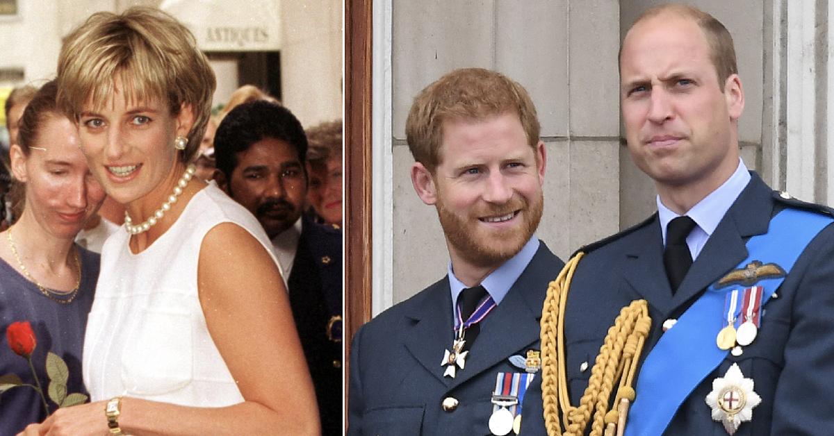 princess dianna woud be so dissapointed with harry william feud pp