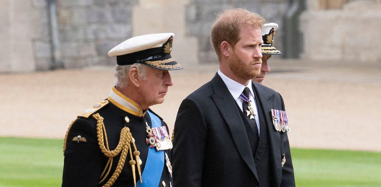 prince harry slammed making king charles diagnosis about him