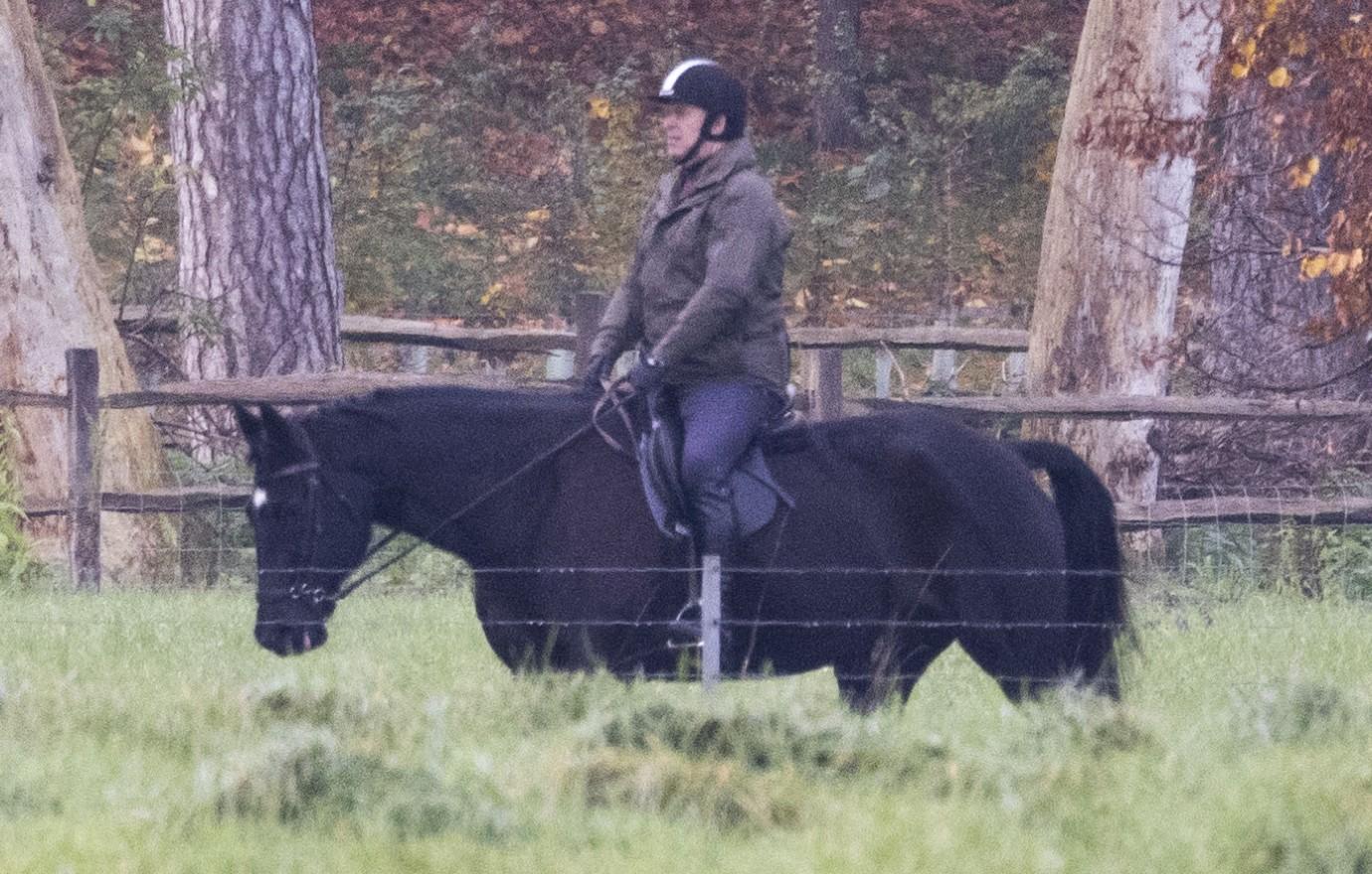 prince andrew riding horse news licensing