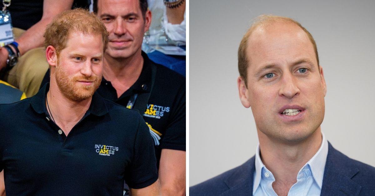 prince harry and prince william