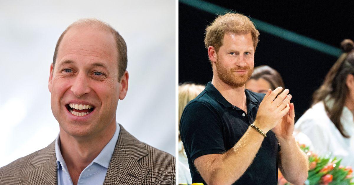 prince harry and prince william