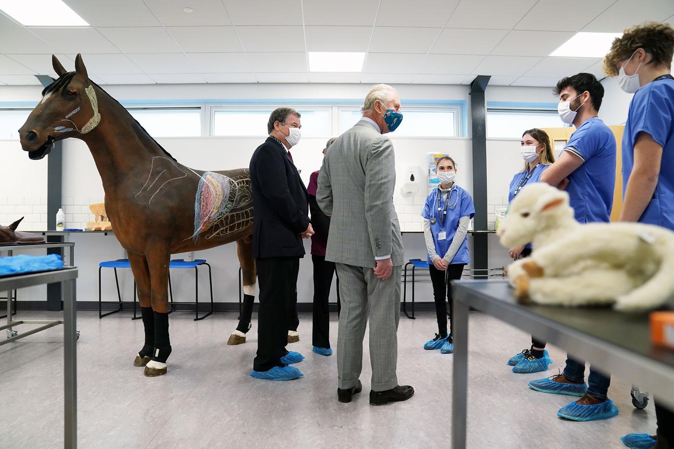 prince charles visits school of veterinary science in wales