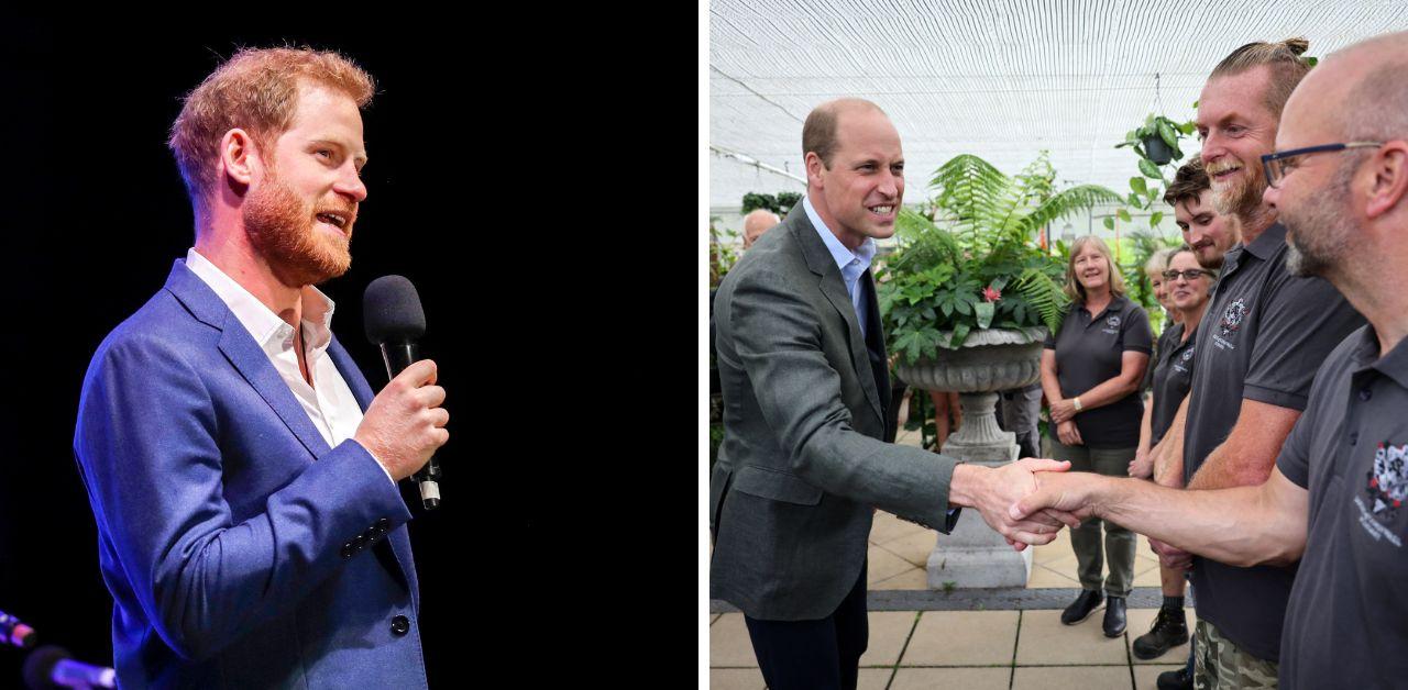 prince harry prince william feud need intervention