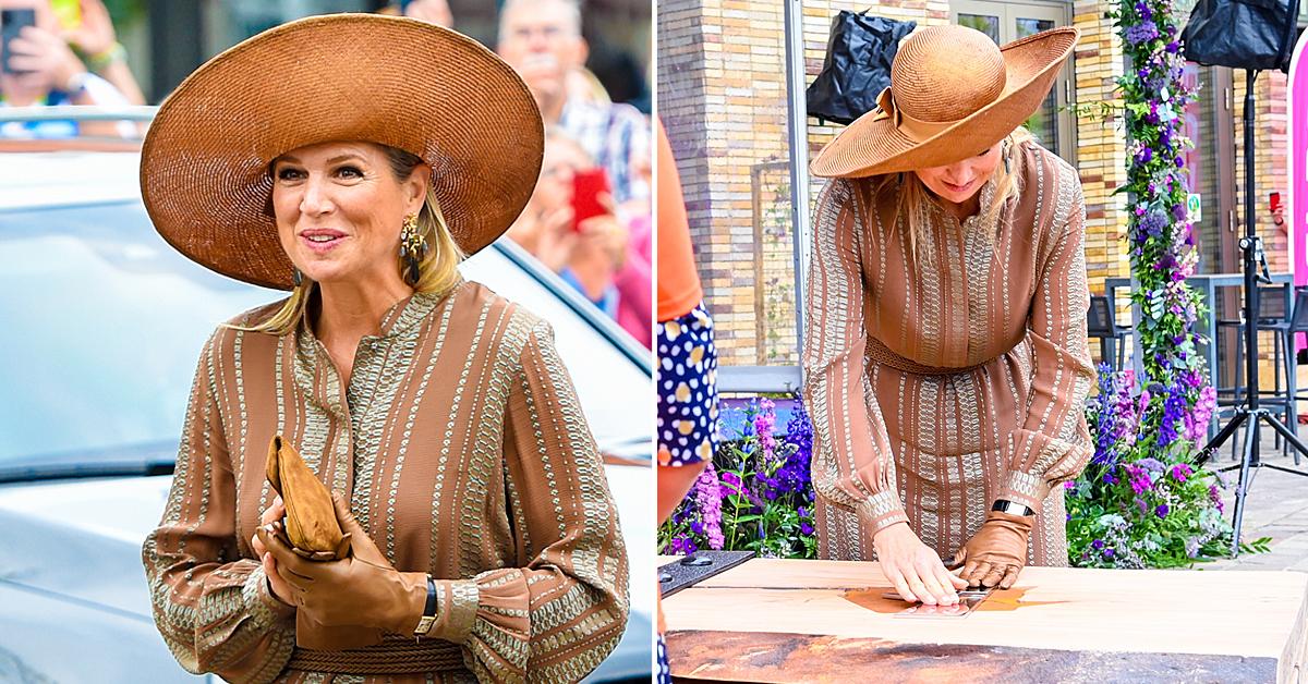 queen maxima at opening of house of culture