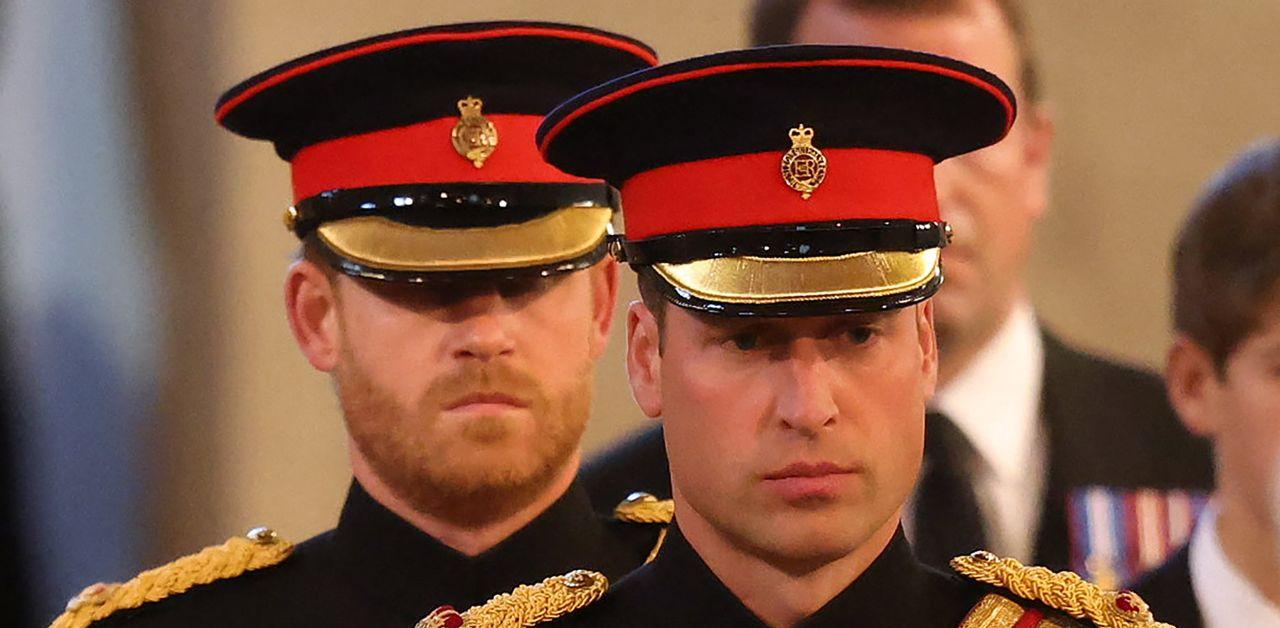 prince william new role managing harry army unit