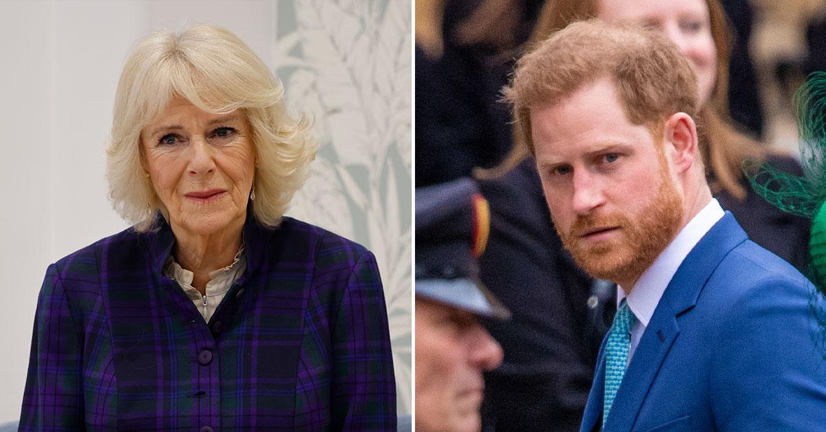 queen consort camilla astounded prince harry bombshell claims pp