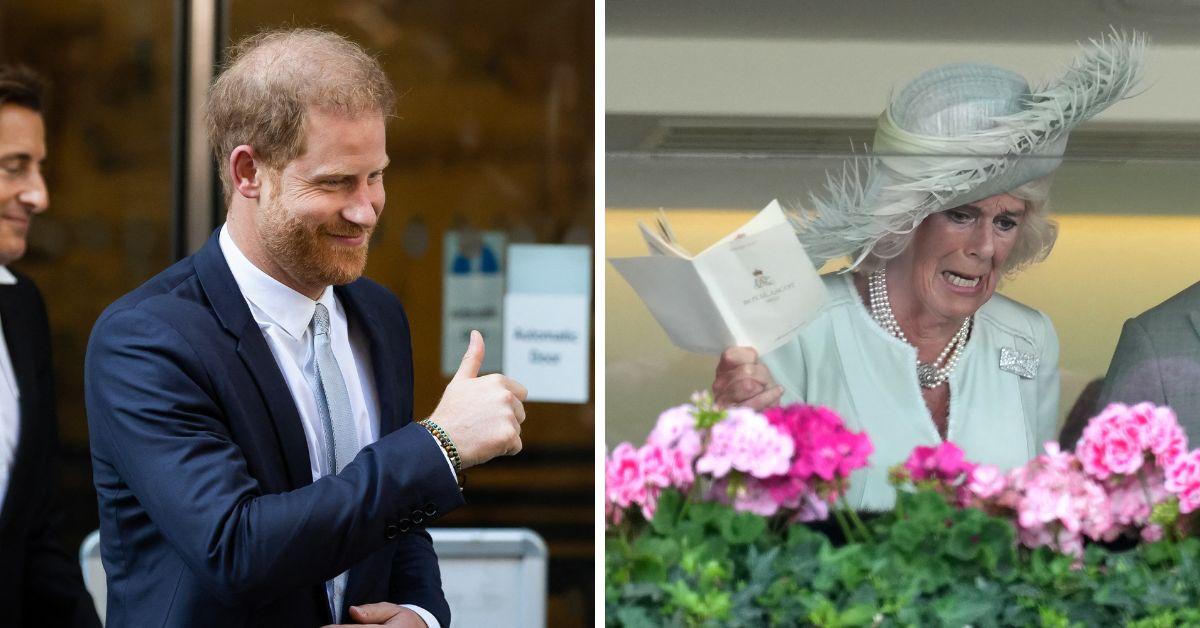 prince harry and queen camilla