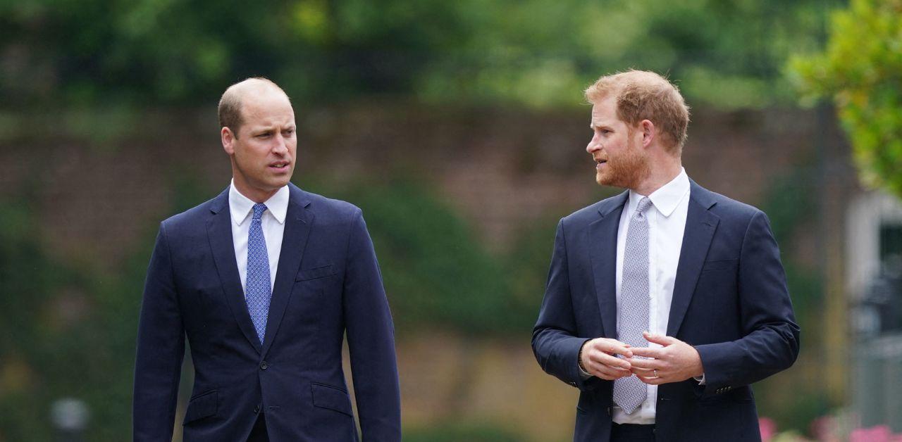 prince harry blames press for prince william rift