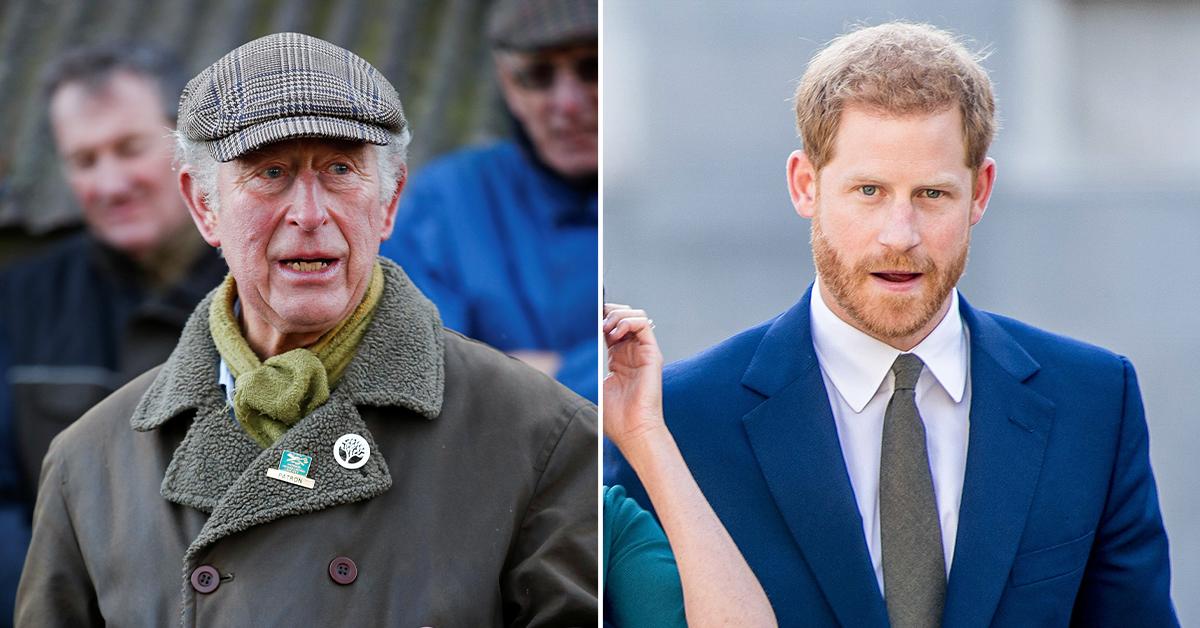 prince charles shocked prince harry spoke out scandal pp